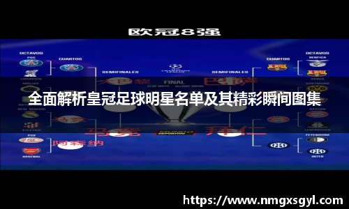 全面解析皇冠足球明星名单及其精彩瞬间图集