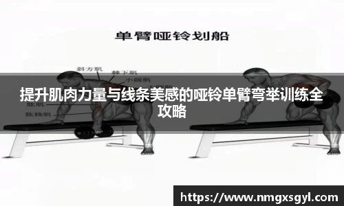 提升肌肉力量与线条美感的哑铃单臂弯举训练全攻略